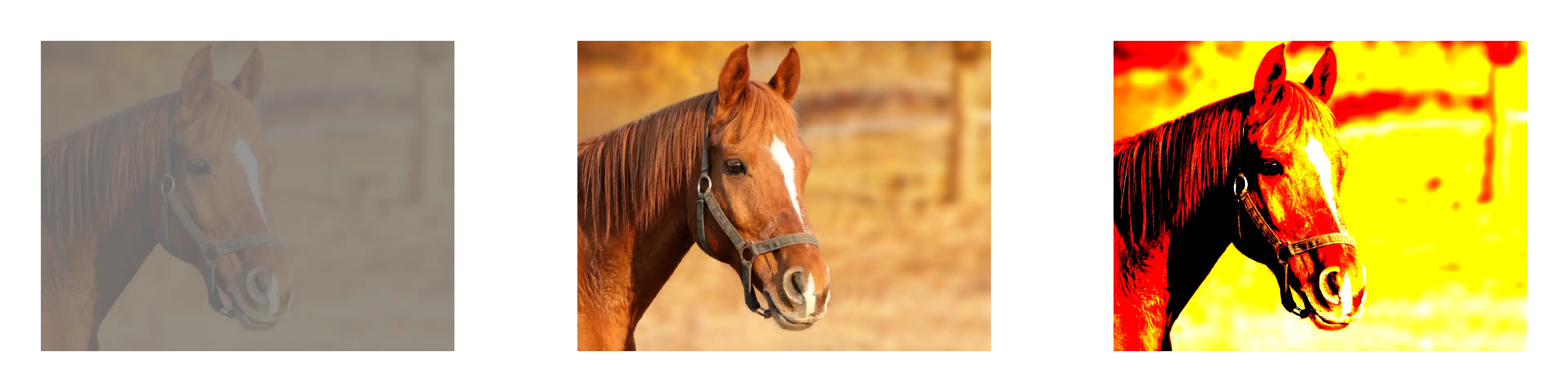 Adjust Contrast Example Image of Contrast Tool