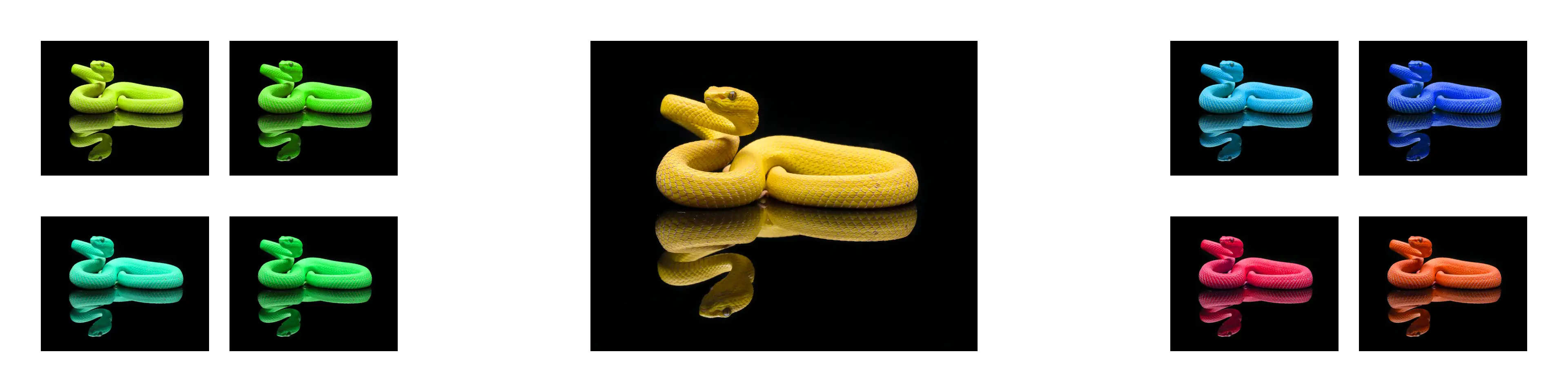 Hue Filter Example Image of Hue Filter Tool