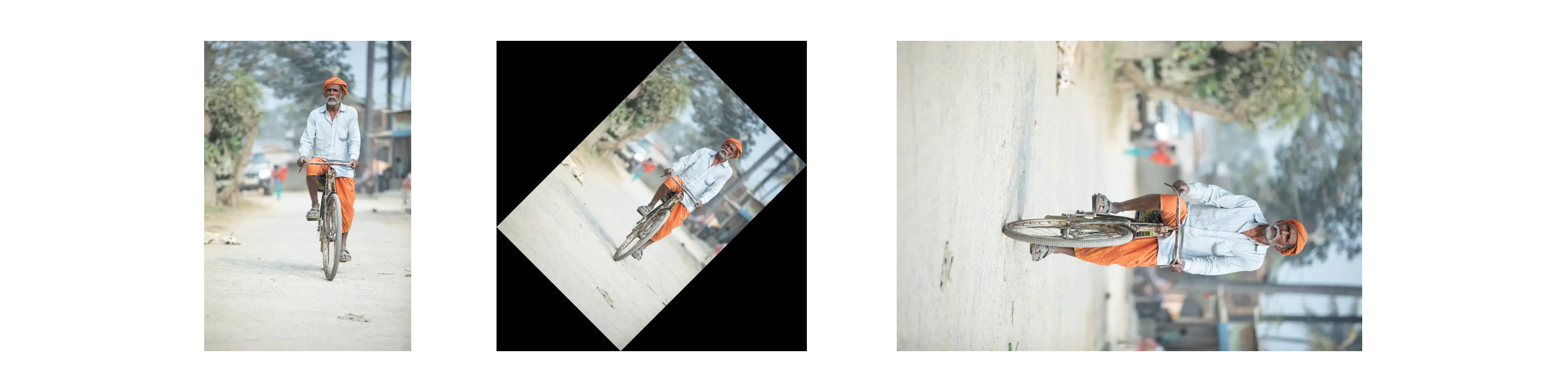 Rotate Filter Example Image of Rotate Filter Tool