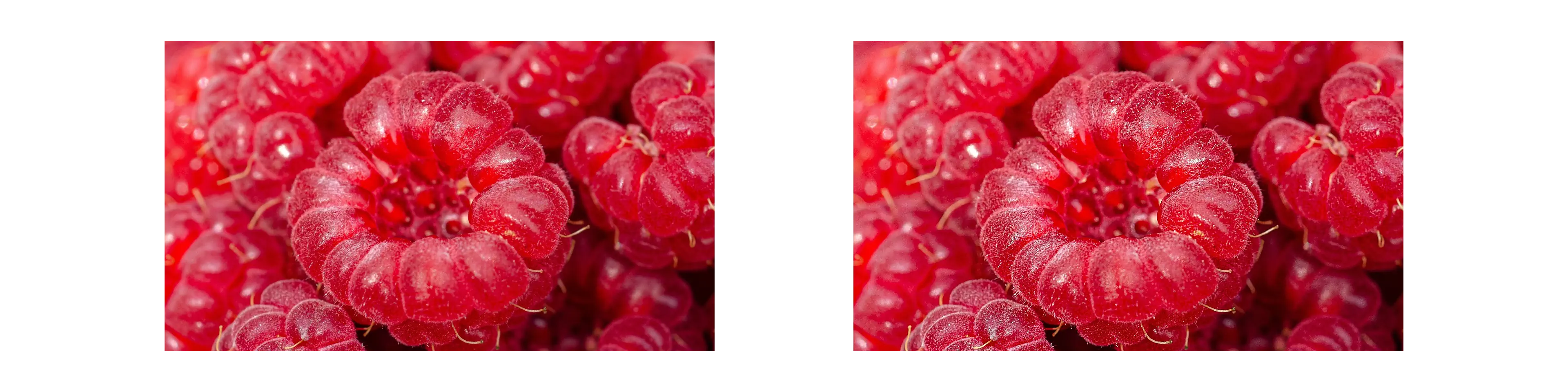 Sharpen Filter Example Image of Sharpen Filter Tool