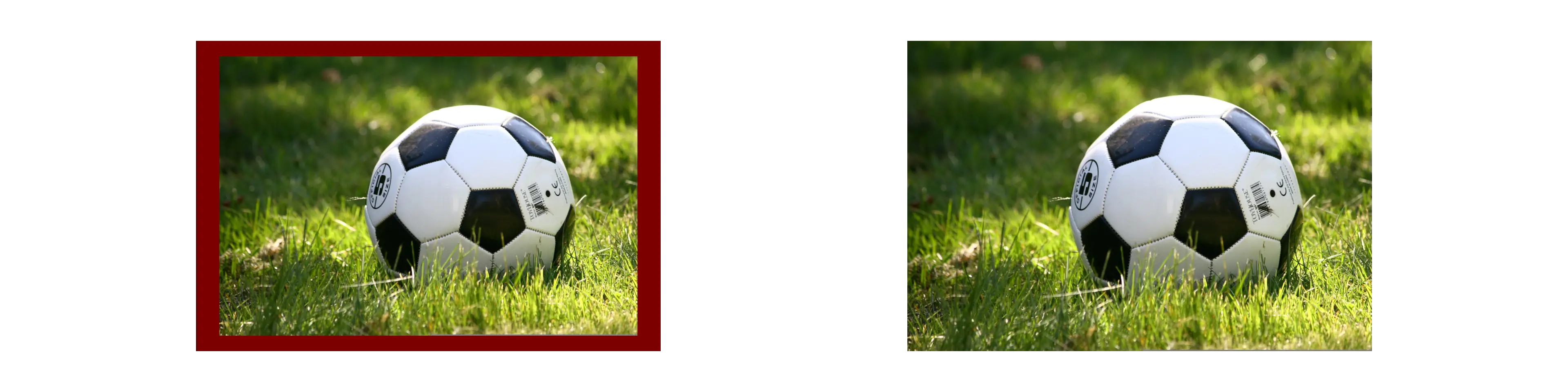 Trim Filter Example Image of Trim Filter Tool