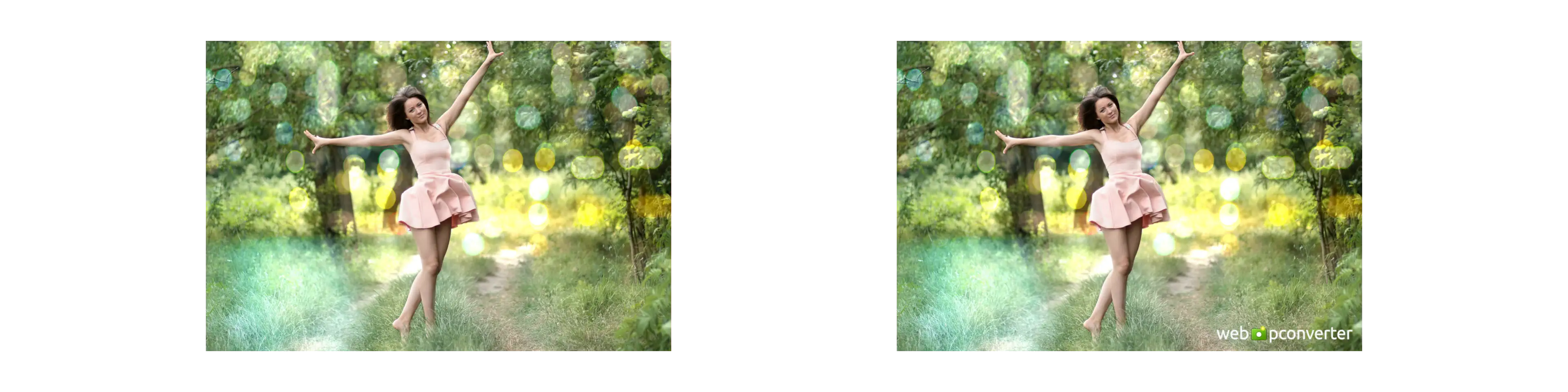 Watermark Filter Example Image of Watermark Filter Tool